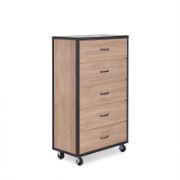 Large Capacity 5-Tiered Storage Locker (Oak)