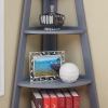 Linta Corner Bookcase