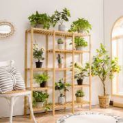 Amy  Shelving Unit