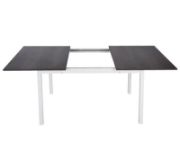 Elaina Extendable Iron Dining Table