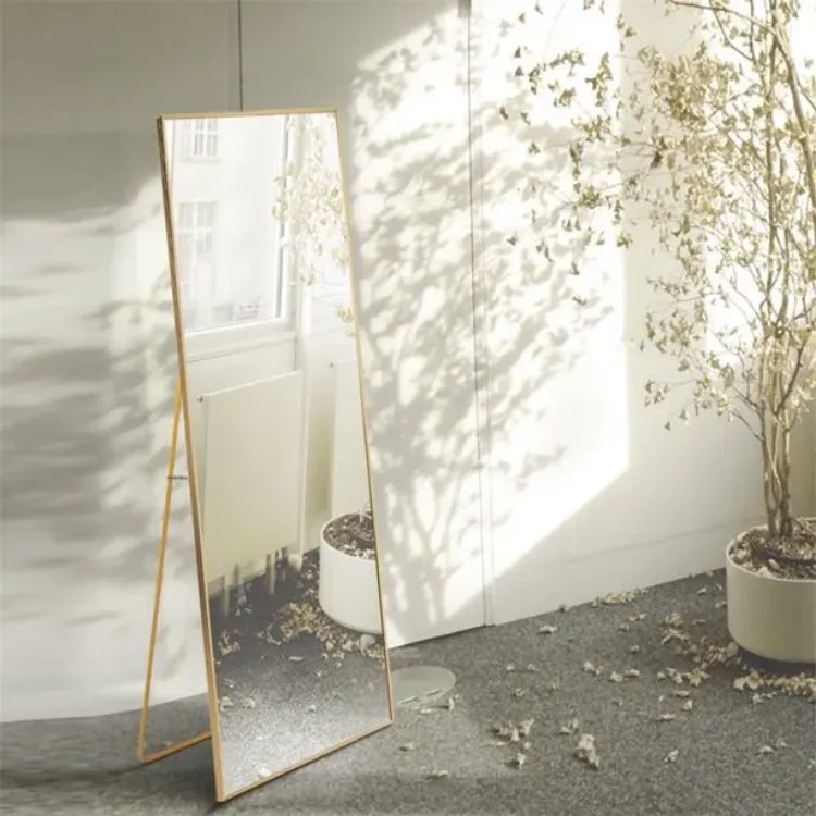 Floor Mirror Free Standing Dressing Mirror with Black Aluminum Alloy Frame