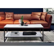 Froelich Frame Coffee Table with Storage