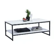 Froelich Frame Coffee Table with Storage