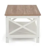 Gillon 4 Legs Coffee Table with Storage