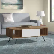 Kayce 4 Legs Coffee Table with Storage