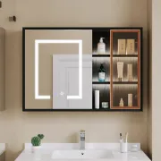 Black LED Lighted Bathroom Medicine Cabinet Vanity Mirror with Storage & Glass Door