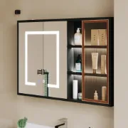 Black LED Lighted Bathroom Medicine Cabinet Vanity Mirror with Storage & Glass Door