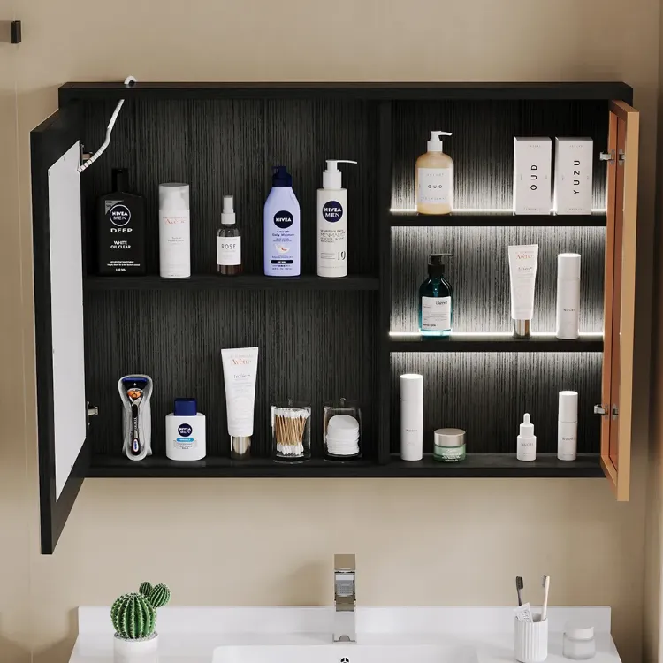 Black LED Lighted Bathroom Medicine Cabinet Vanity Mirror with Storage & Glass Door