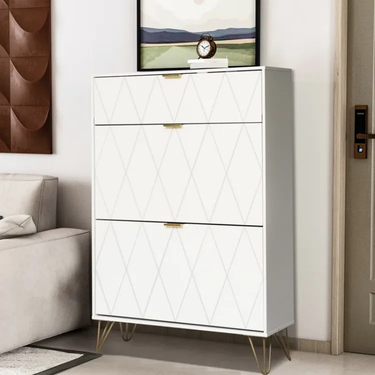 White Aadhyareddy 12 Pairs Solid + Manufactured Wood Shoe Storage Cabinet