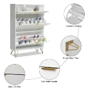 White Aadhyareddy 12 Pairs Solid + Manufactured Wood Shoe Storage Cabinet