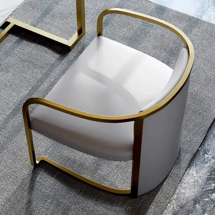 Picture of Louis Modern Metal chair and leather