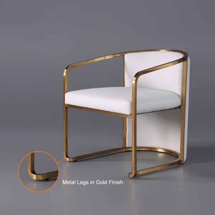 Picture of Louis Modern Metal chair and leather