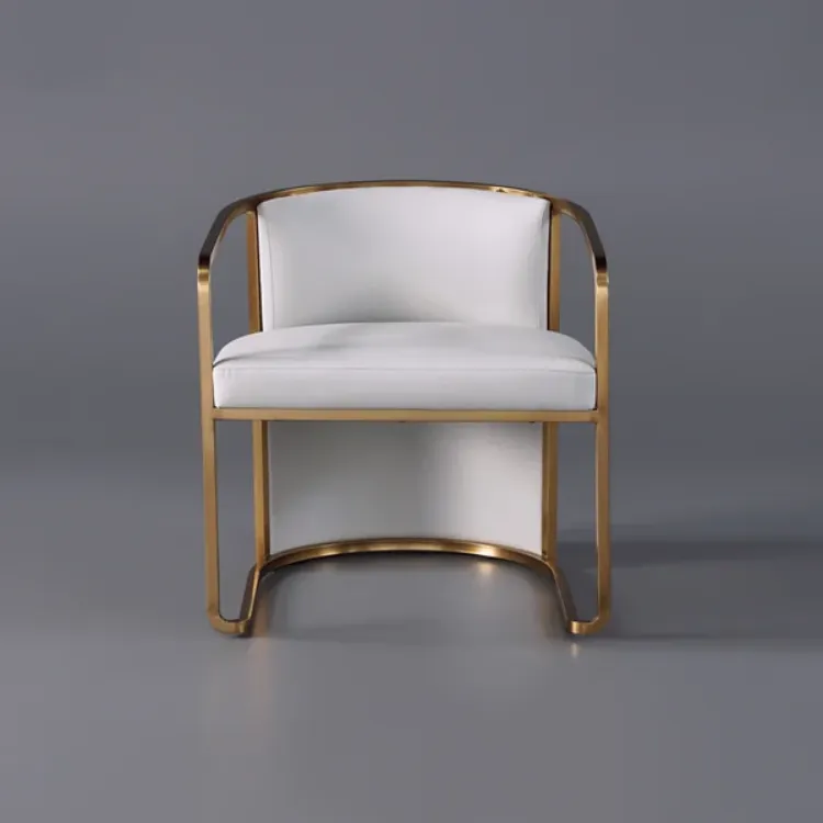 Picture of Louis Modern Metal chair and leather