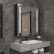 Picture of Illuminated mirror with storage space  Elize