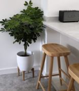Picture of Rixo Backless Natural Wood Counter Chair