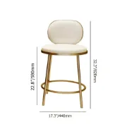 Picture of Éloise Bar Stool – Gold Frame with Padded Backrest