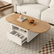 Picture of Ravon Oval Coffee Table – Natural Wood Top with Iron Frame